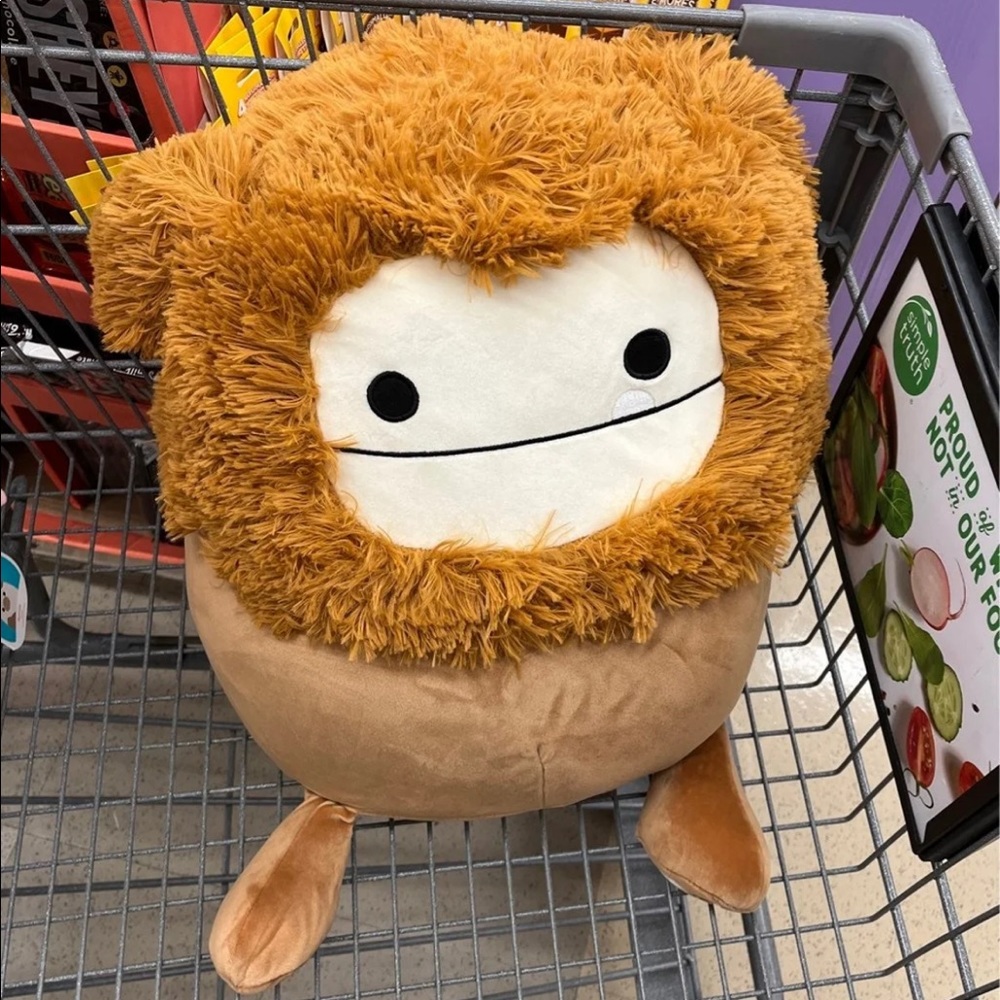 RARE Benny squishmallow OBO